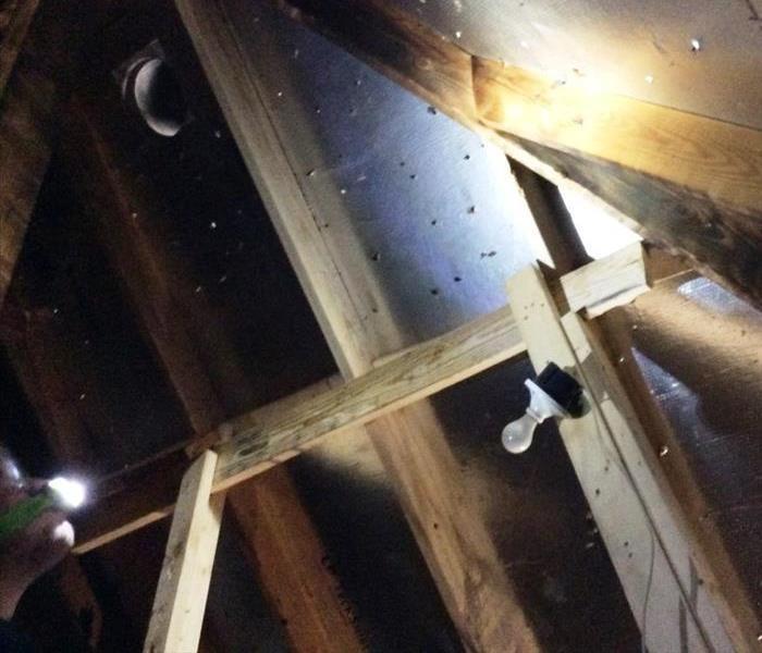 Image shows clean rafters in dark attic space.