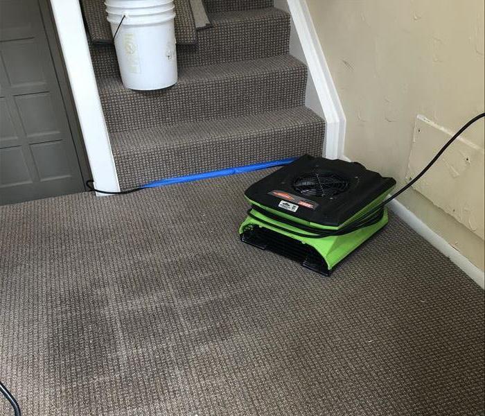 vacuuming and extracting water from the common area